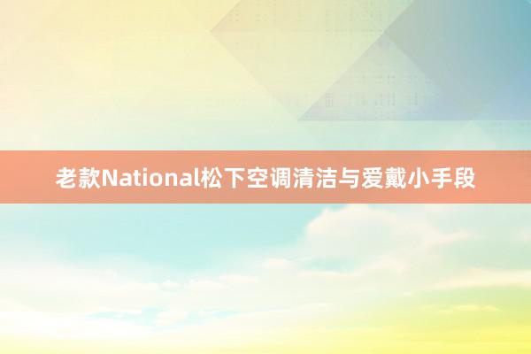 老款National松下空调清洁与爱戴小手段